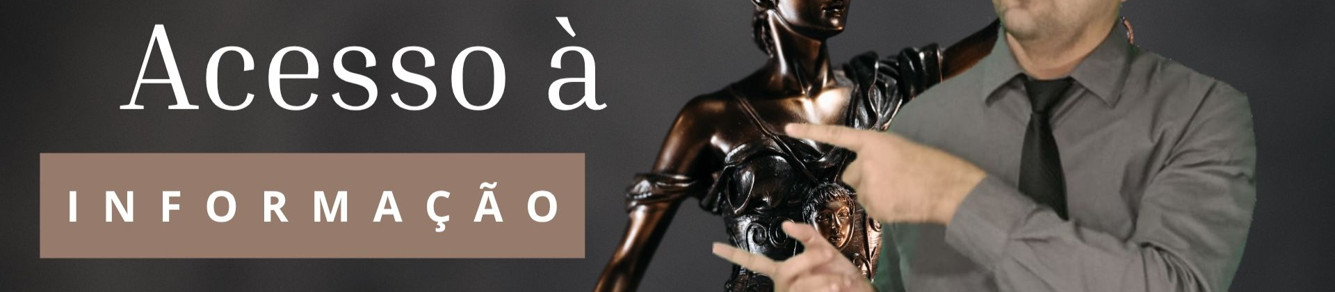 Apostila Lei de acesso a Informação + Questões (apostila em PDF)