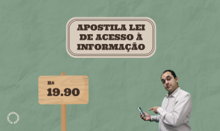 Apostila Lei de Acesso a Informação mais questões (apostila em PDF)
