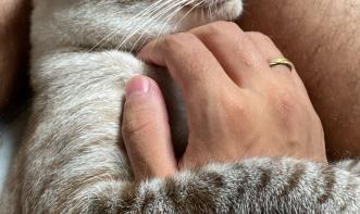 Albilene de Jesus Coelho Silva