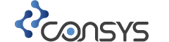 Universidade Consys