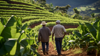 COOPERCONT- ESPECIALISTA TRIBUTÁRIO EM PRODUTOR RURAL