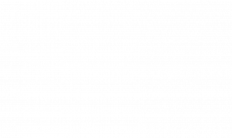 Juliana Santos Rocha