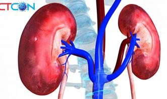 AVALIAÇÃO DA FUNÇÃO RENAL
