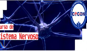SISTEMA NERVOSO