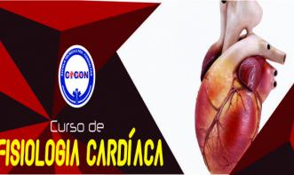 Noções de Fisiologia Cardiovascular 