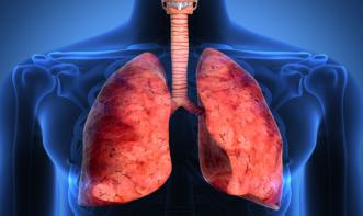 Noções de Fisiologia do Sistema Respiratório 