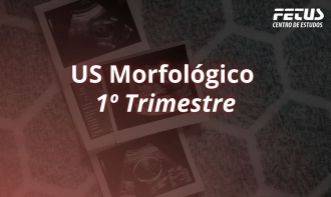 Gestação de 1º Trimestre
