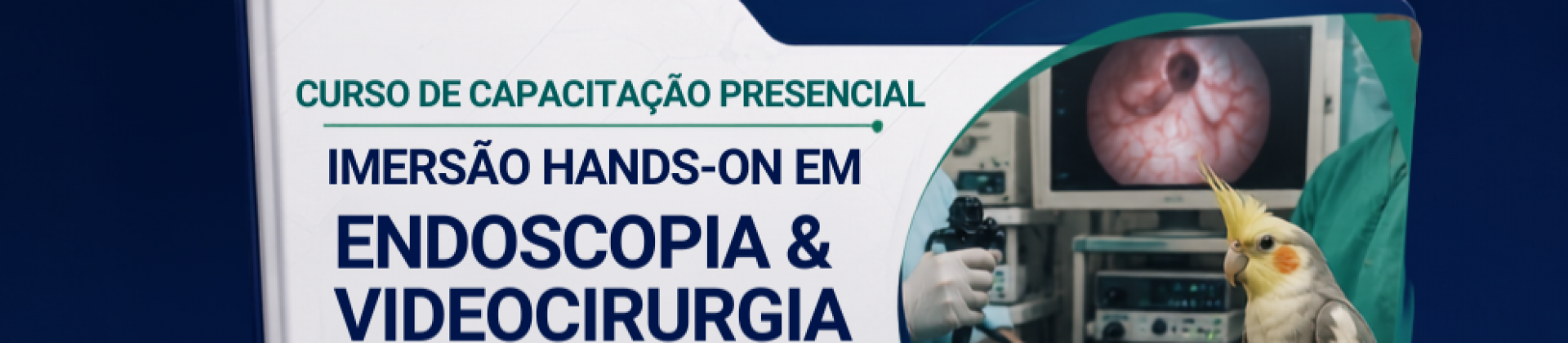 Endoscopia e Videocirurgia em Pets Não Convencionais (Aves e Répteis)
