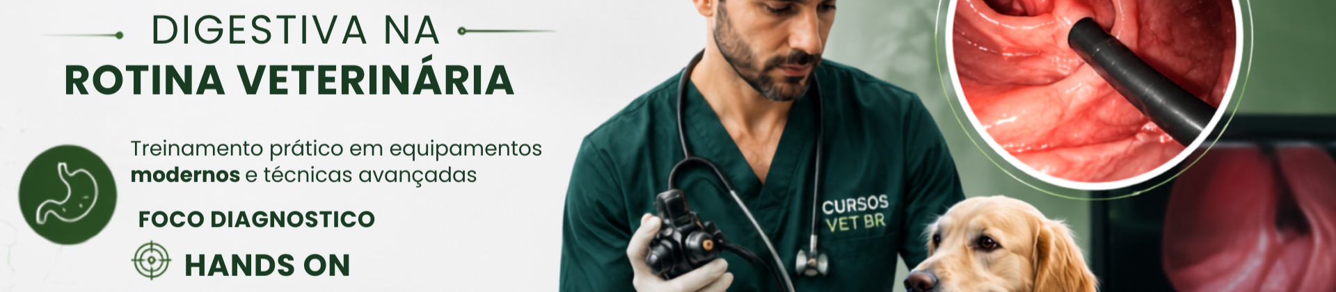Endoscopia Veterinária Digestiva em Cães e Gatos | São Paulo - 100% Presencial