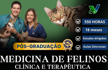 Pós - Graduação em Clínica Médica  de Felinos