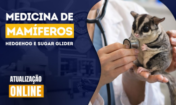 Medicina de Mamíferos| Hedgehog e Sugar Glider