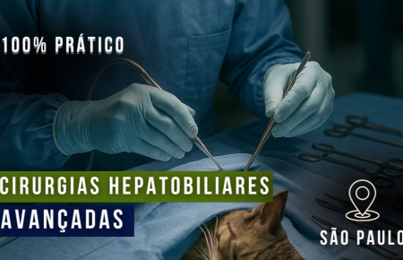 Cirurgias Hepatobiliares Avançadas | São Paulo