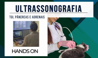 Ultrassonografia de Rotina - Varreduras Difíceis