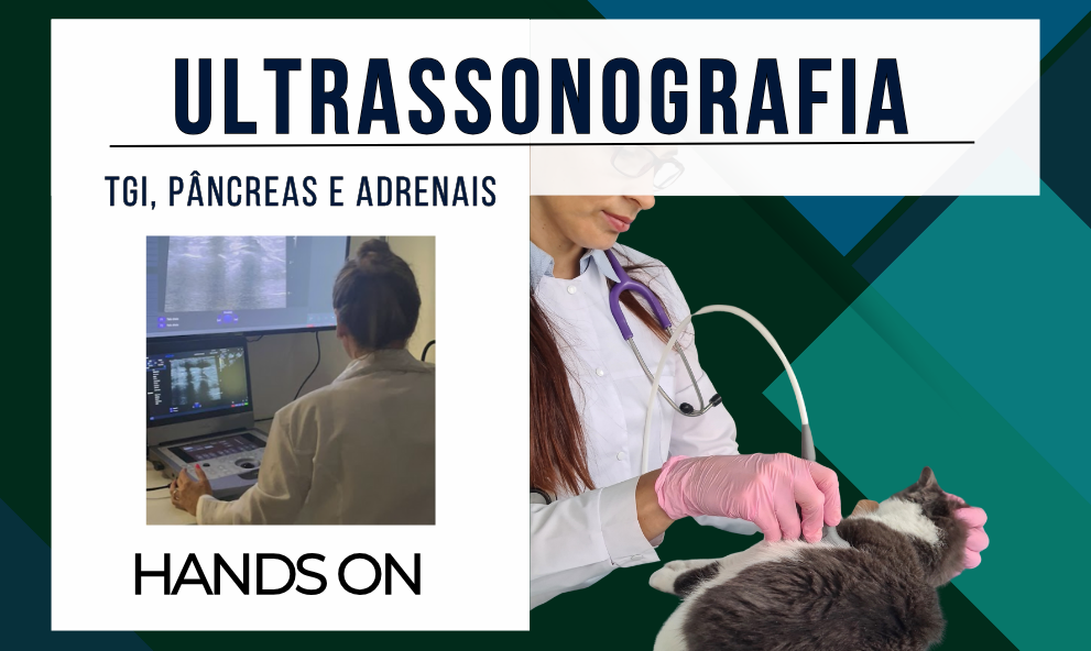 Ultrassonografia de Rotina - Varreduras Difíceis