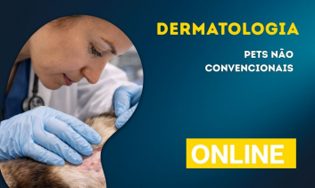 Dermatologia em Pets não Convencionais