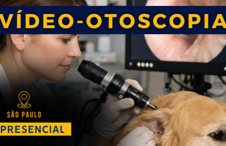 Video - Otoscopia em Cães e Gatos | São Paulo