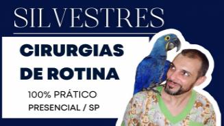 Cirurgias de Rotina em Animais Silvestres e Exóticos	| São Paulo