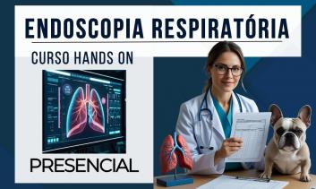 Endoscopia Veterinária - Aparelho Respiratório | São Paulo