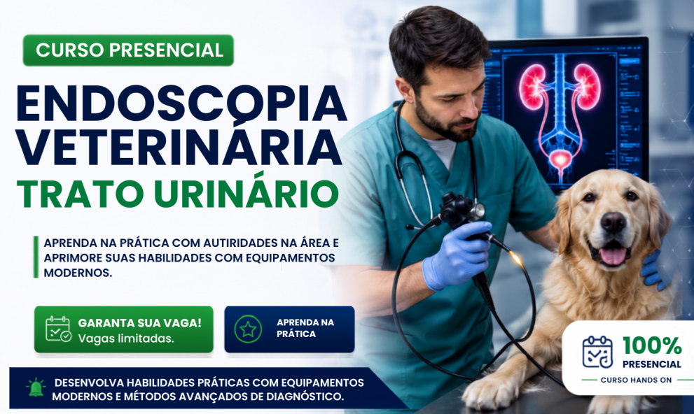 Endoscopia do Trato Geniturinário em Cães e Gatos | São Paulo - 100% Presencial