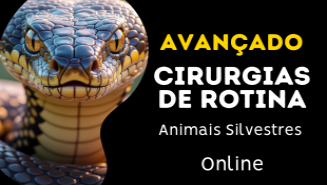 Cirurgias Avançadas em Animais Silvestres e Exóticos