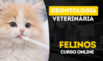 Odontologia Veterinária em Felinos