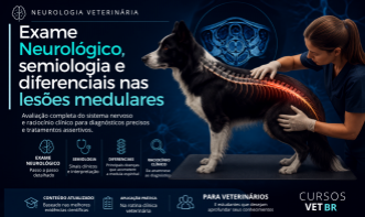Neurolocalização ao prognóstico - Exame neurológico, semiologia e diferenciais nas lesões medulares
