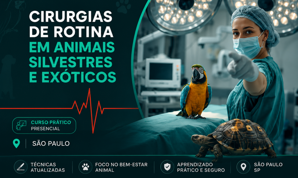 Cirurgias de Rotina em Animais Silvestres e Exóticos	| São Paulo