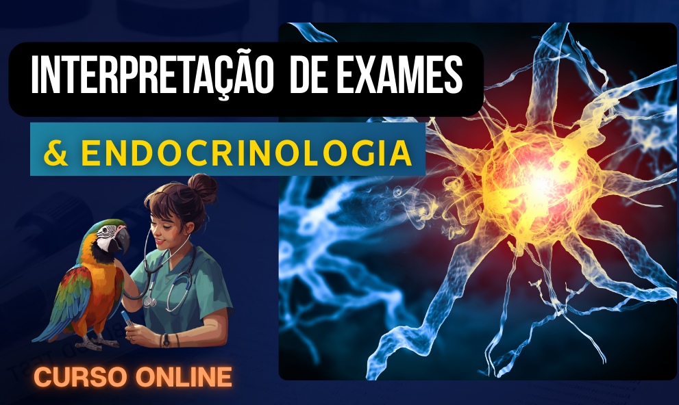Interpretação de Exames e Endocrinologia em Animais Silvestres
