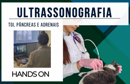 Ultrassonografia de Rotina - Varreduras Difíceis - SP