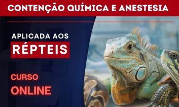 Curso online de Atualização Aplicada à Medicina Veterinária | Contenção Química e Anestesia em Répteis