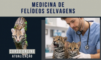 Medicina de Felideos Selvagens
