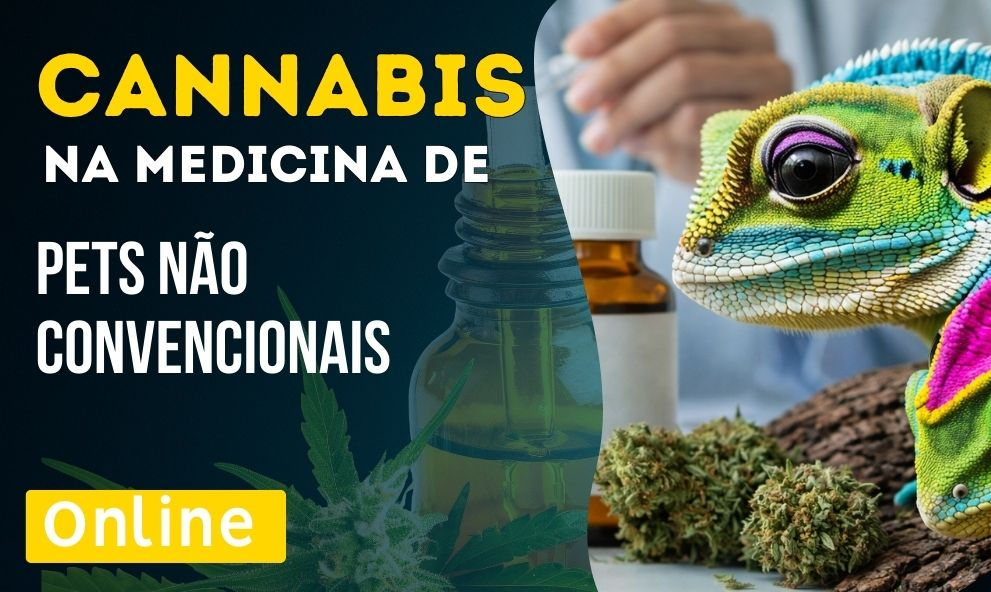 Atualização Terapia Canabinóide na Medicina de Pets não Convencionais