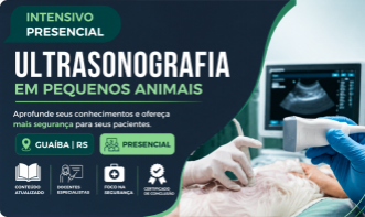 Ultrassonografia Abdominal em Pequenos Animais | Porto Alegre