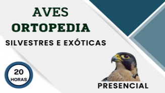 Ortopedia em Aves Silvestres e Exóticas | São Paulo