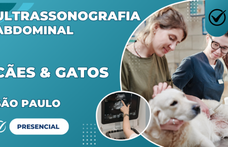 Ultrassonografia Abdominal em Pequenos Animais | São Paulo