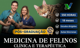 Pós - Graduação em Clínica Médica  de Felinos