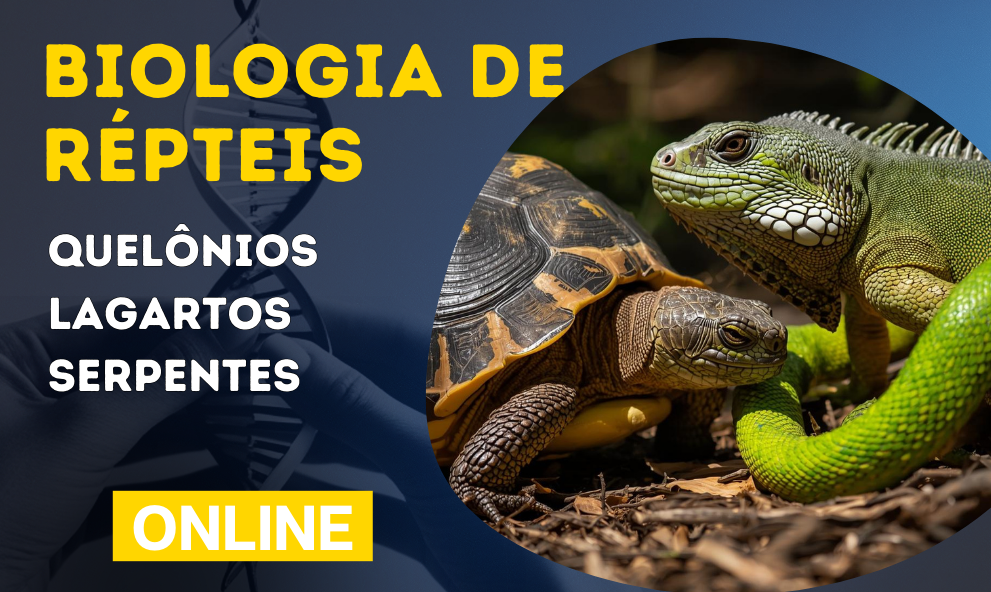 Biologia de Répteis | Quelônios, Lagartos e Serpentes