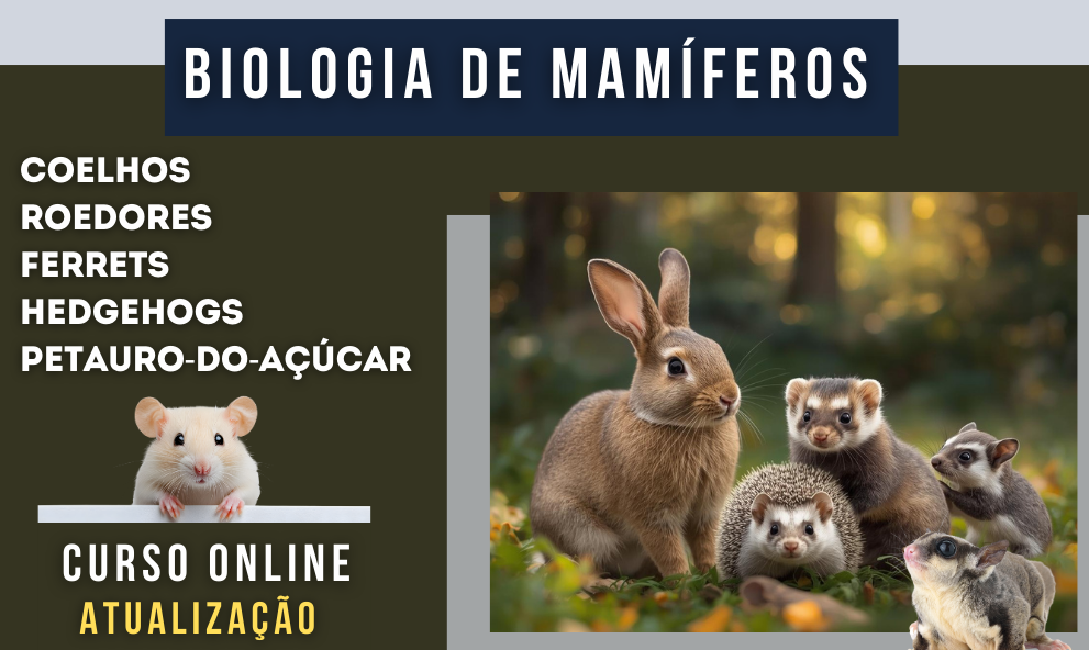 Biologia de  Coelhos, Roedores, Ferrets, Hedgehogs e Petauro-do-açúcar