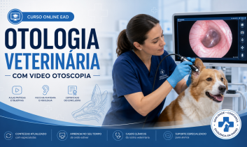Otoendoscopia Diagnóstica em pequenos animais
