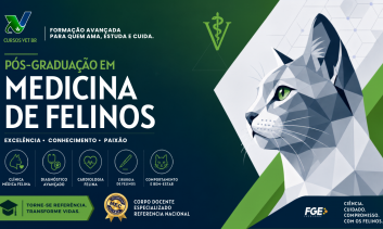 Pós - Graduação em Clínica Médica  de Felinos -Master
