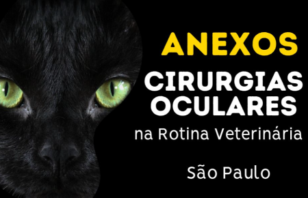 Cirurgias de Anexo na Oftalmologia em Pequenos Animais | São Paulo