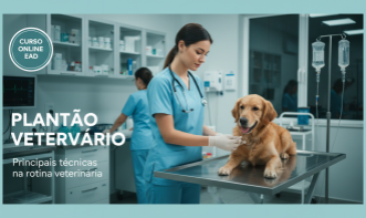 Plantão Veterinário - Principais técnicas na rotina veterinária