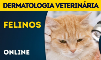 Dermatologia Veterinária em Felinos
