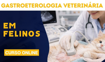 Gastroenterologia Veterinária em Felinos