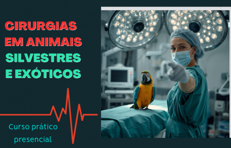 Cirurgias de Rotina em Animais Silvestres e Exóticos	| São Paulo