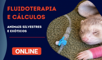 Fluidoterapia e Cálculos 