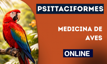 Medicina de Aves Psittaciformes