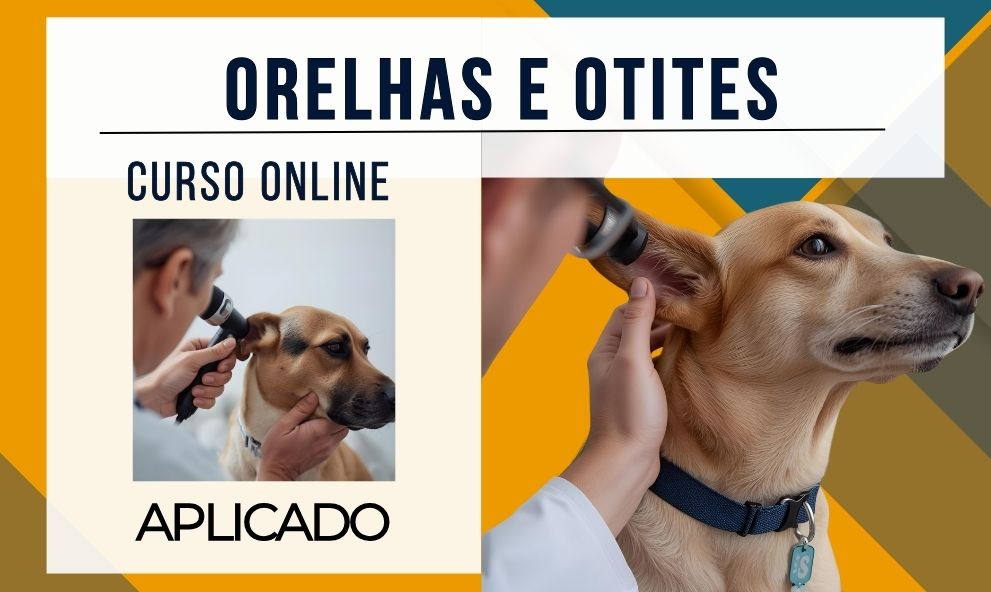 Orelhas e Otites na Rotina de Cães e Gatos