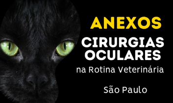Cirurgias de Anexo na Oftalmologia em Pequenos Animais | São Paulo