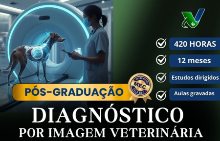 Pós - Graduação em Diagnóstico por Imagem Veterinária